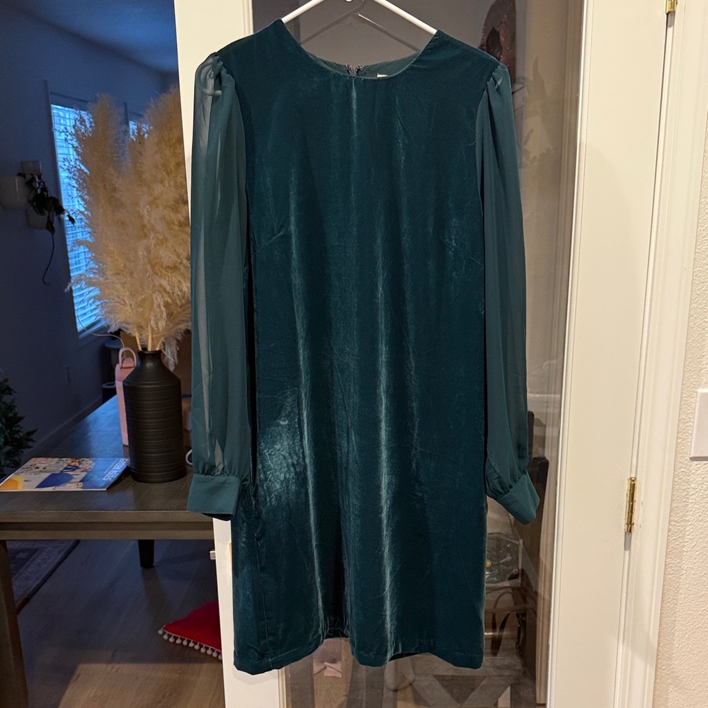J. Crew Forest Green Long Sleeve Dress Velour